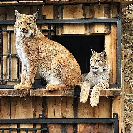 Farmház Grand Farma Michael Netvořice