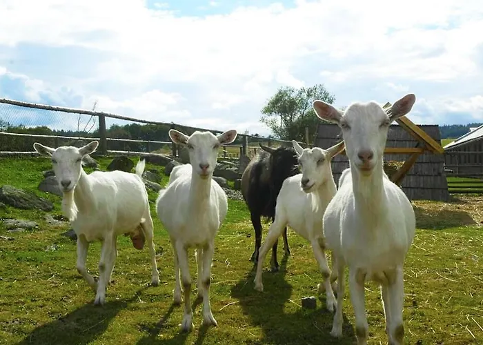 Grand Farma Michael * Netvorice