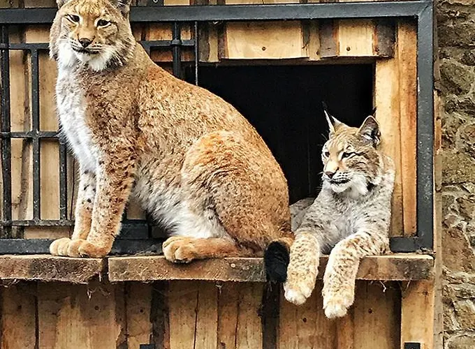 Фермерский дом Grand Farma Michael Netvorice