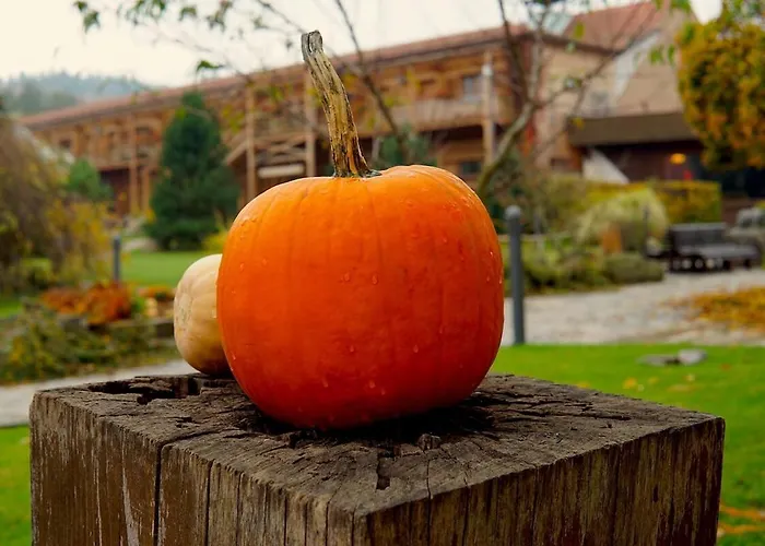 Grand Farma Michael Netvořice